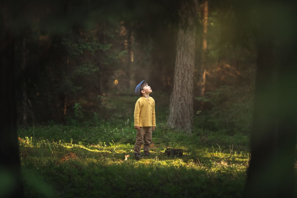 Photograph by Новицкая Татьяна