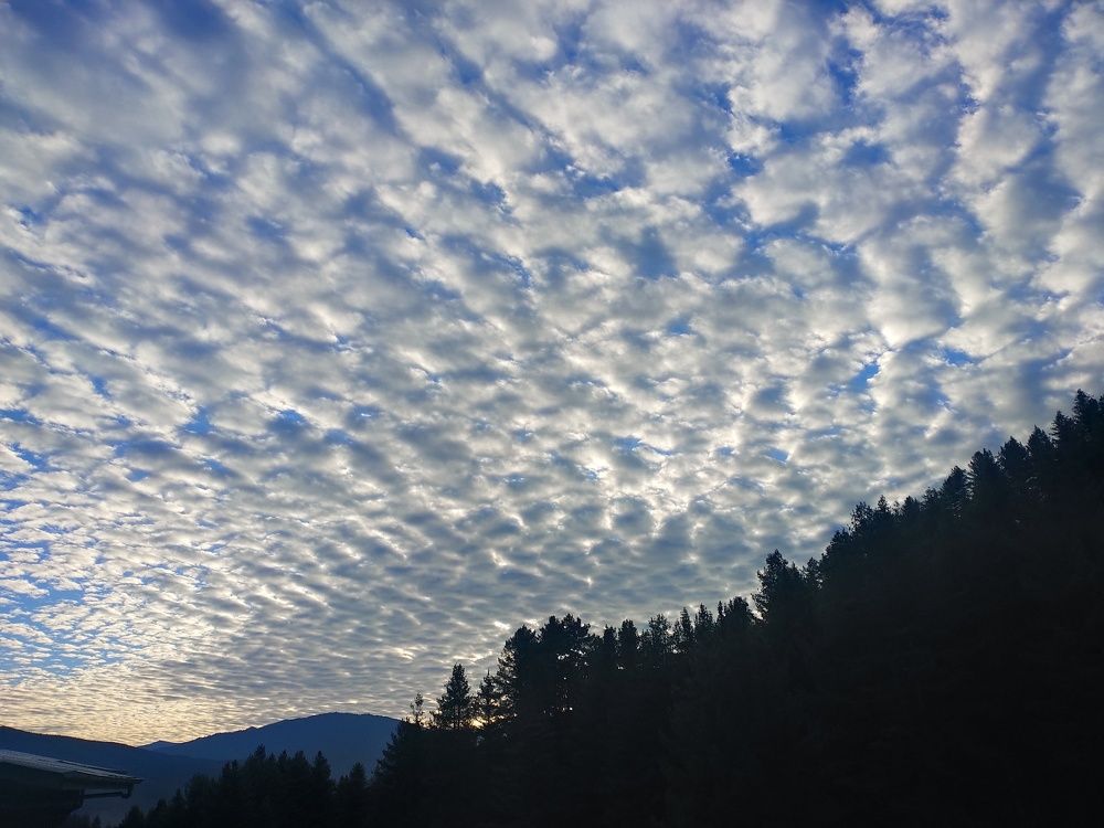 Photo #5849065