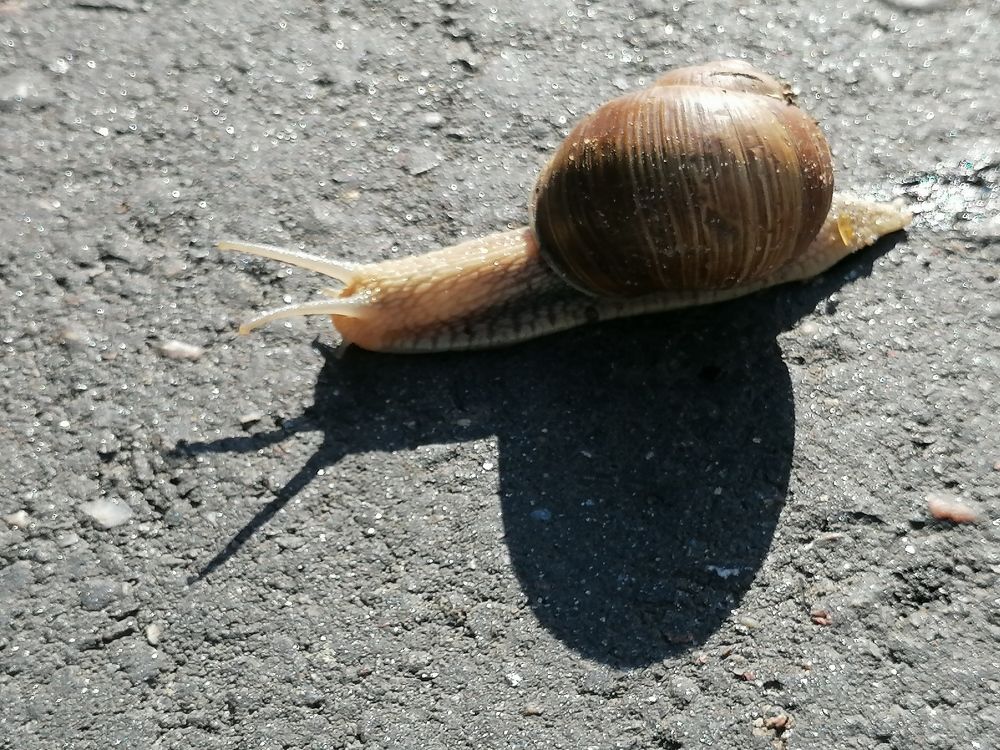 Photograph by Екатерина Супраненок