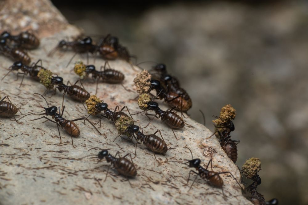 Photograph by Nicholas Ng