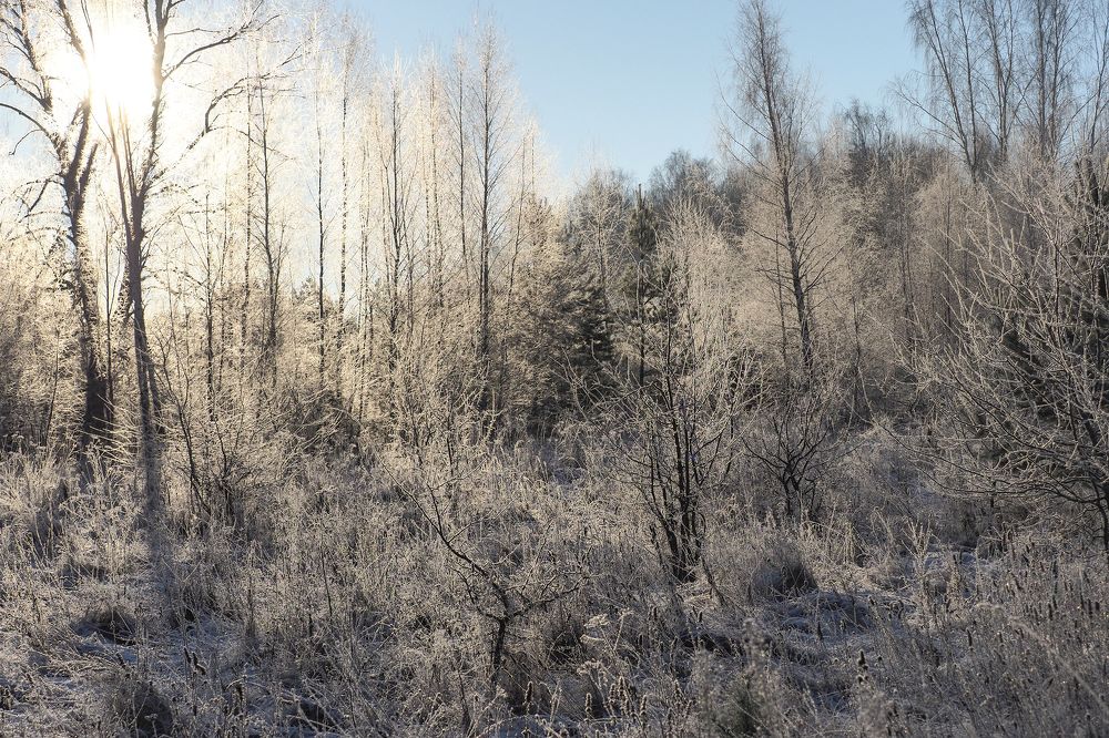 Фотография автора Александр Мартынов