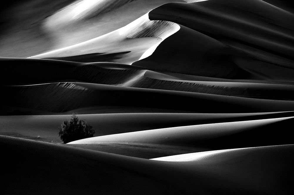 Фотография автора hadis sharifii