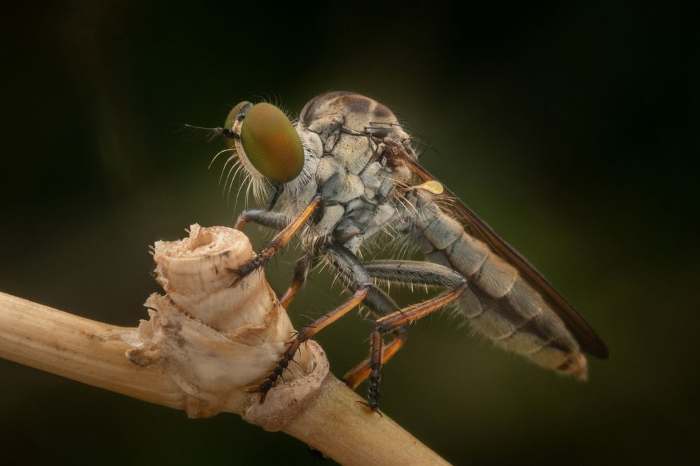 Photograph by Nicholas Ng