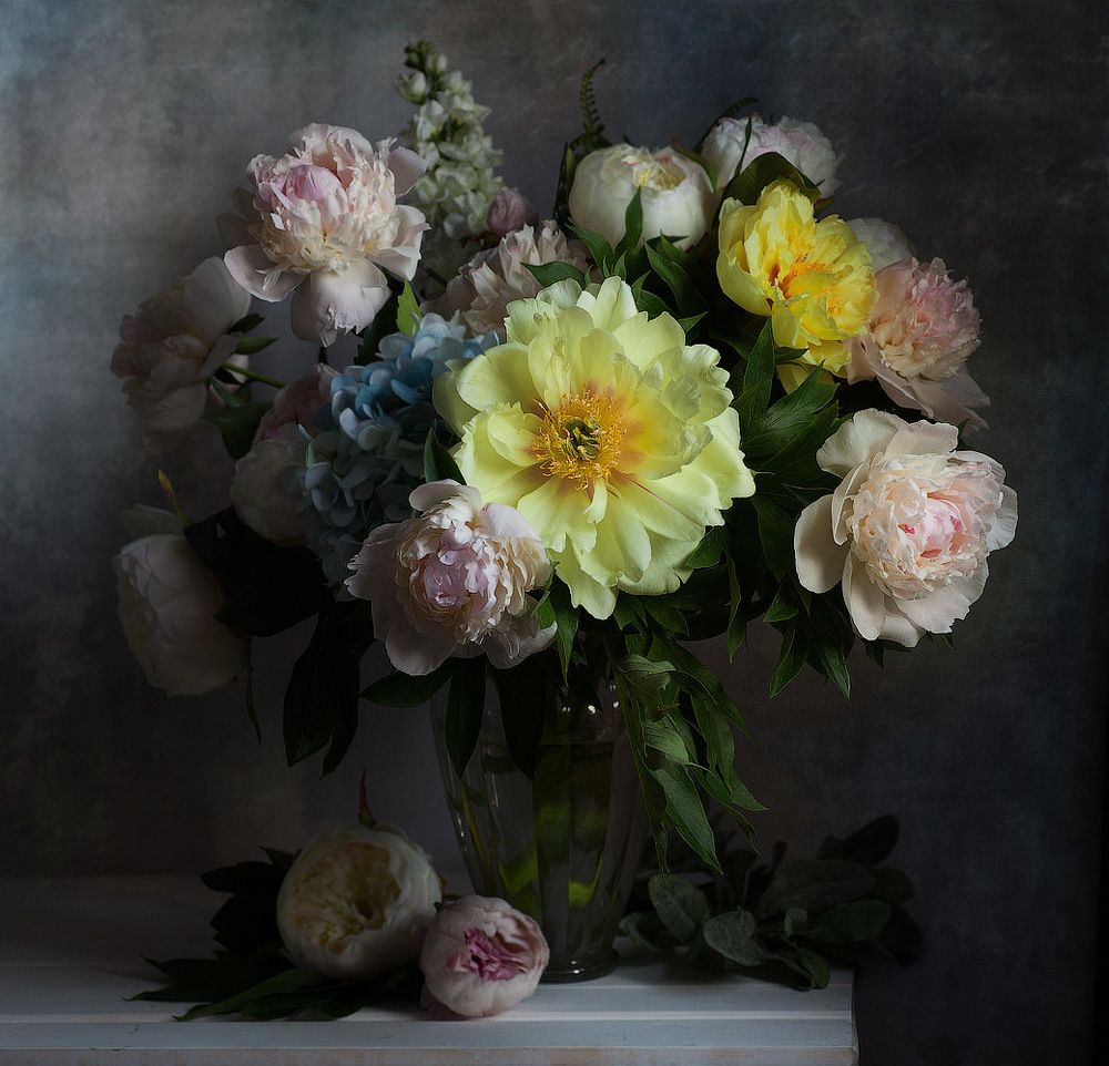 Фотография автора Алина Ланкина