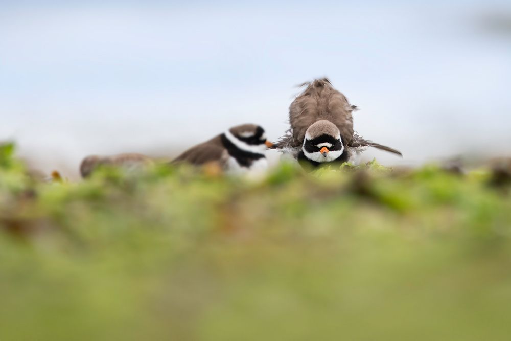 Photograph by Noa Táboas
