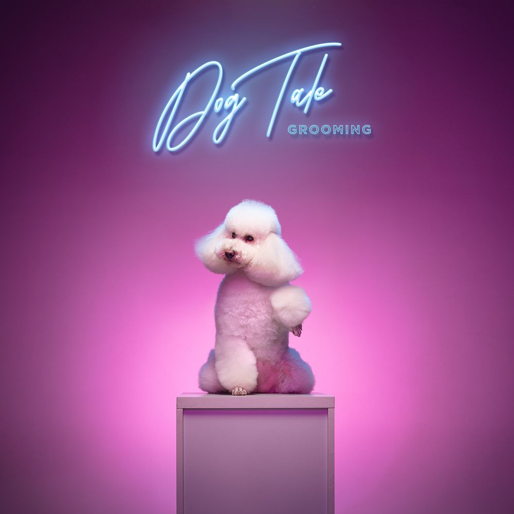 Фотография автора Lustre