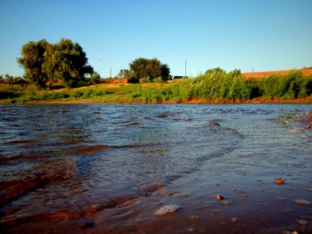 Photograph by Елена Васильева