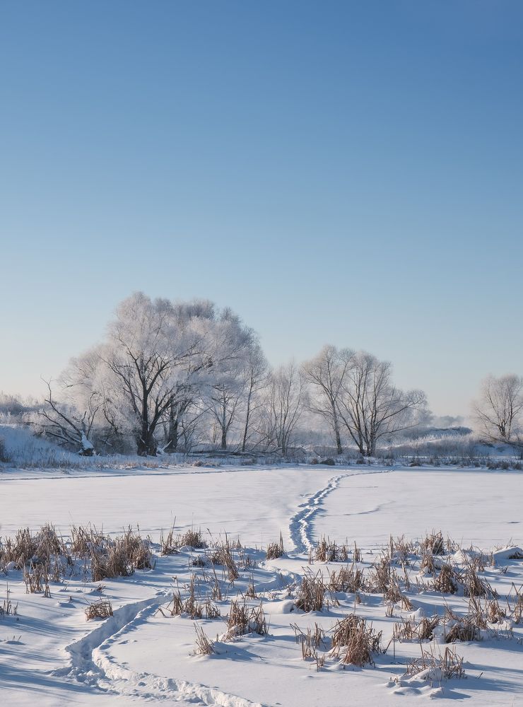 Photograph by Роман Паньков