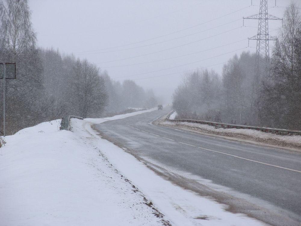 Photo #5849358