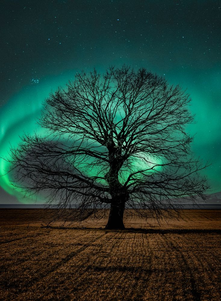 Photograph by Adelin Crin