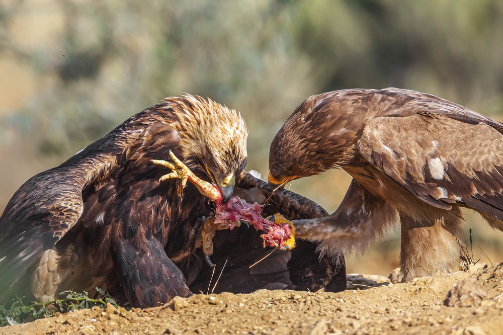 Photograph by Wasif Yaqeen