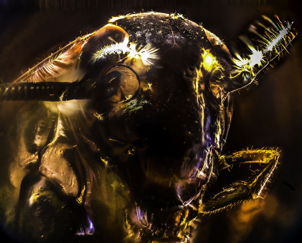 Photograph by Alexander Vayionis