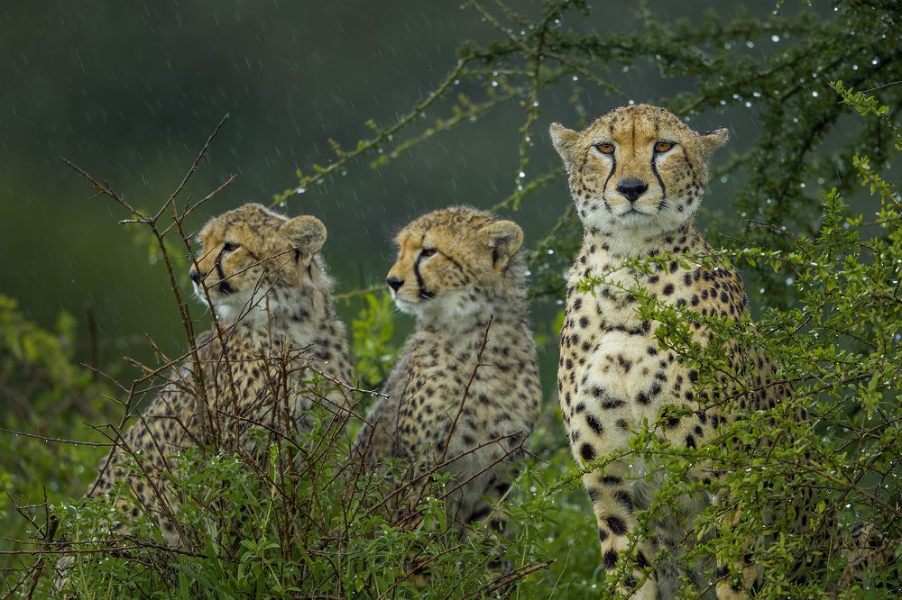 Photograph by Wasif Yaqeen