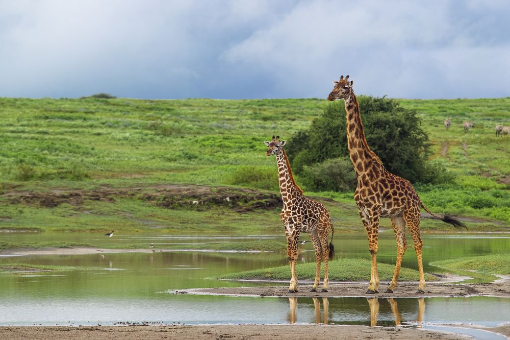 Photograph by Wasif Yaqeen