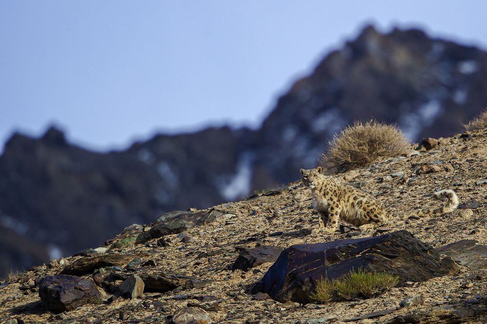 Photograph by Wasif Yaqeen