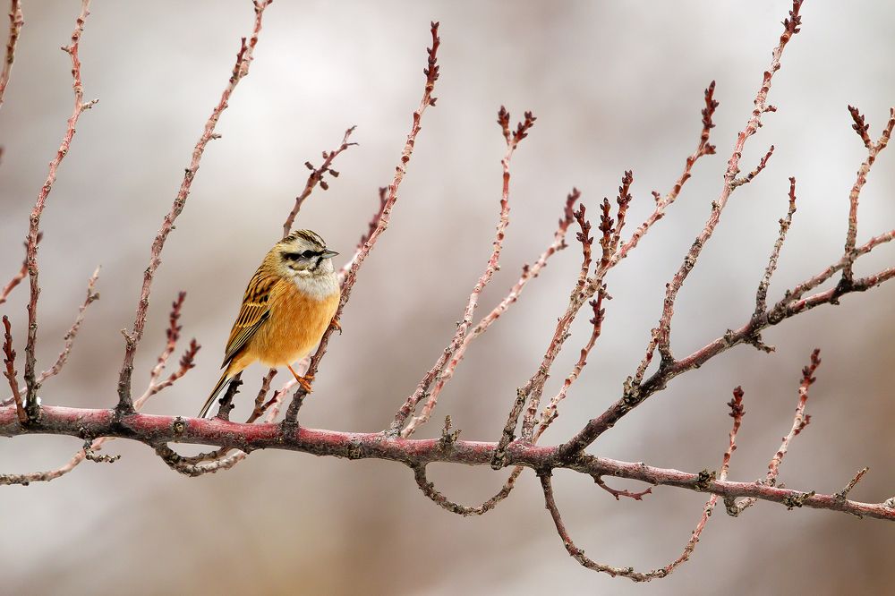 Photograph by Wasif Yaqeen