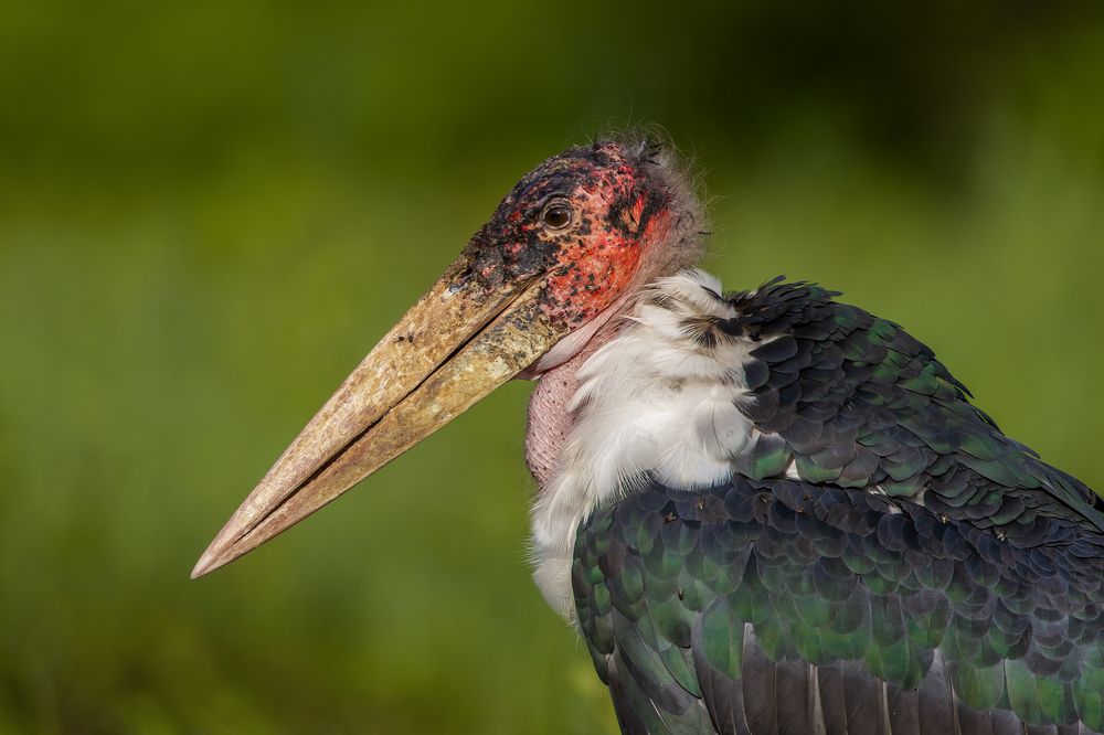 Photograph by Wasif Yaqeen