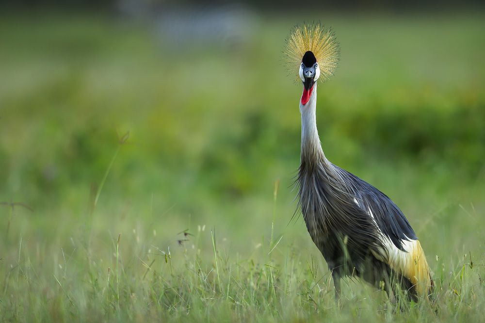 Photograph by Wasif Yaqeen