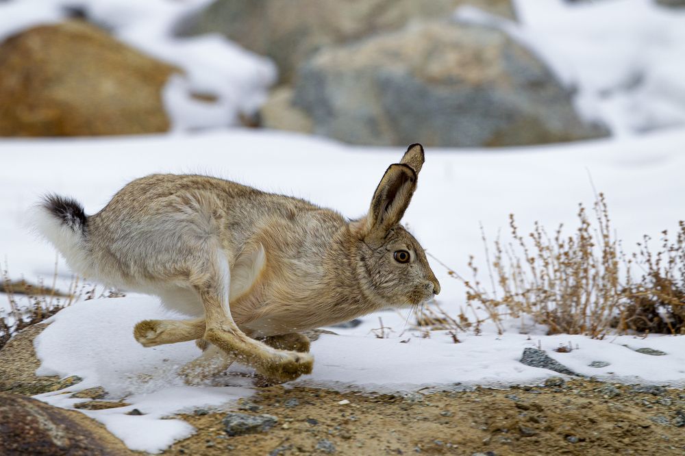 Photograph by Wasif Yaqeen