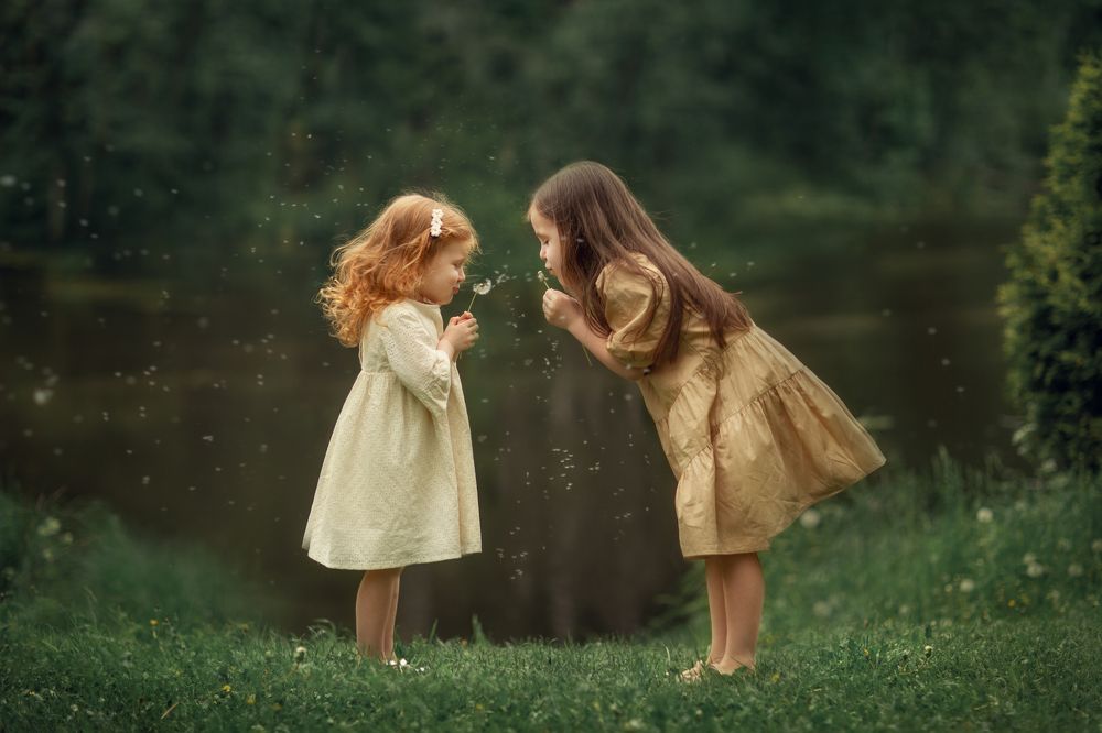 Одуванчики