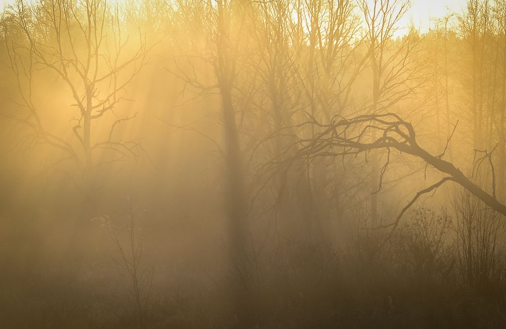 Photograph by Olga Kazakova