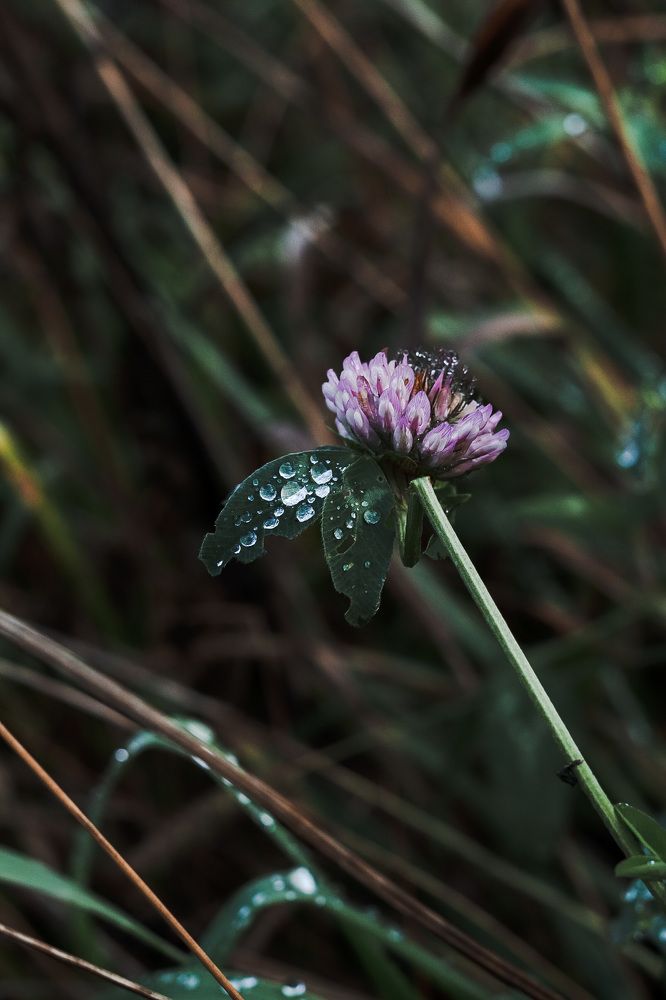 Photograph by Наталья Шмелева