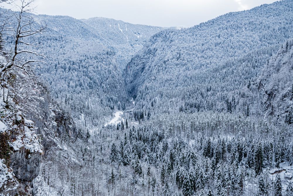 Photograph by Жемчугова Юлия