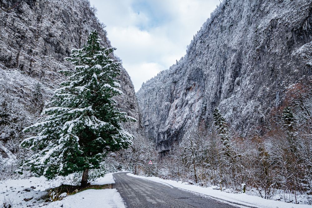 Photograph by Жемчугова Юлия