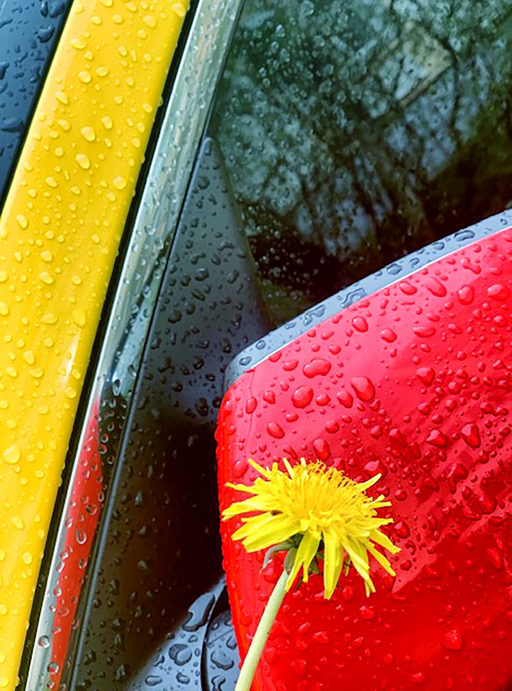 Photograph by Слава Ольшевская