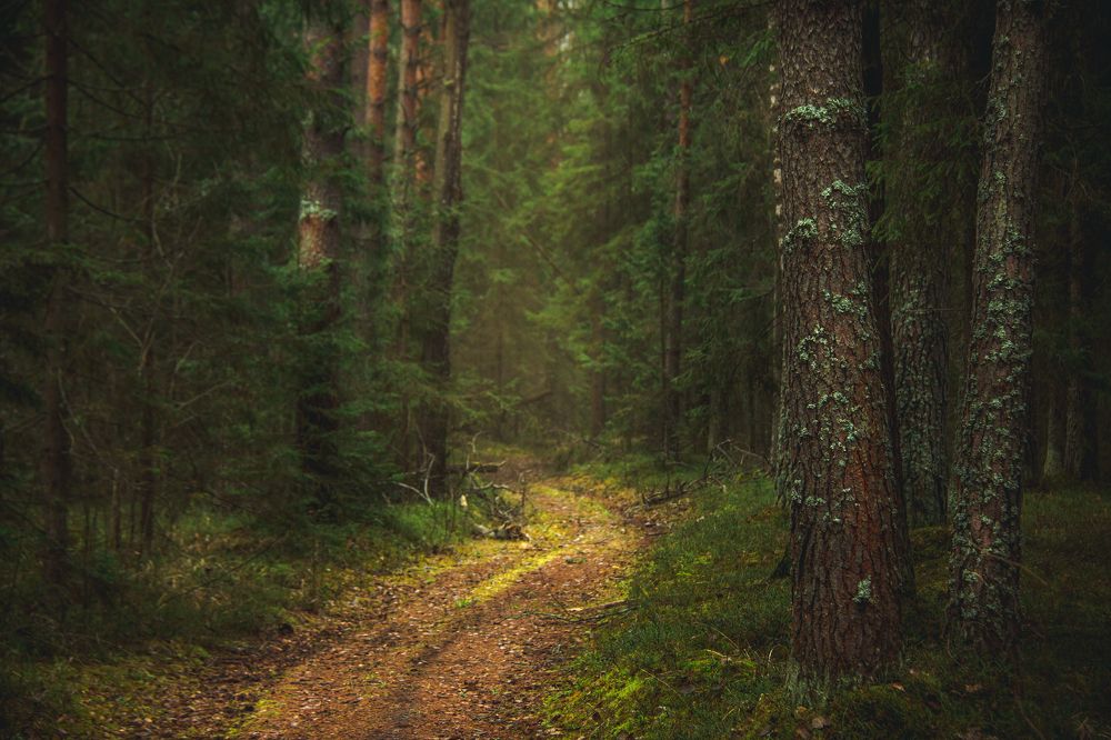 Photograph by Vladimir Golubev