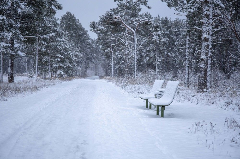 Photograph by Наталья Катюжанская