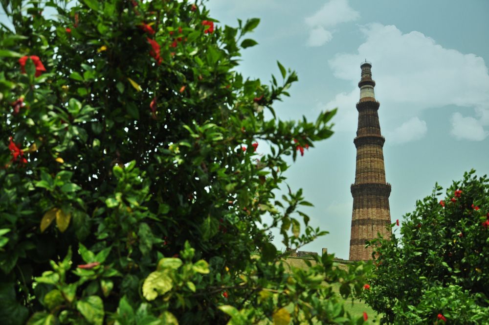 Photograph by Raaj Kiran