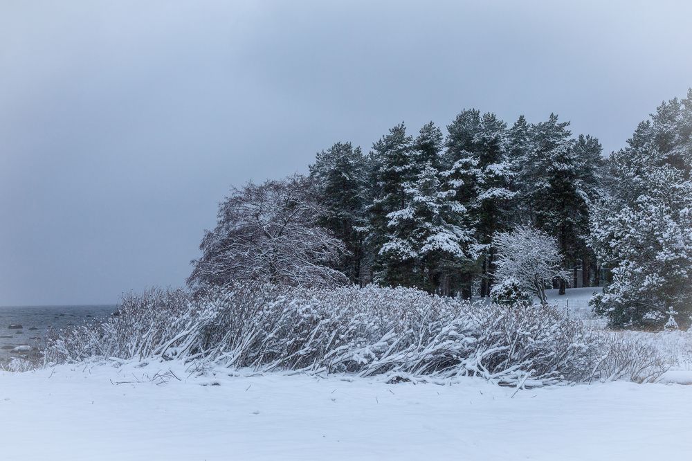 Photograph by Наталья Катюжанская