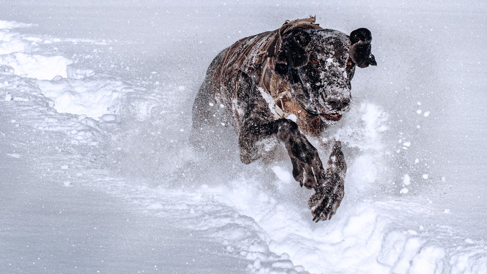 Photograph by Дмитрий Лоскутов