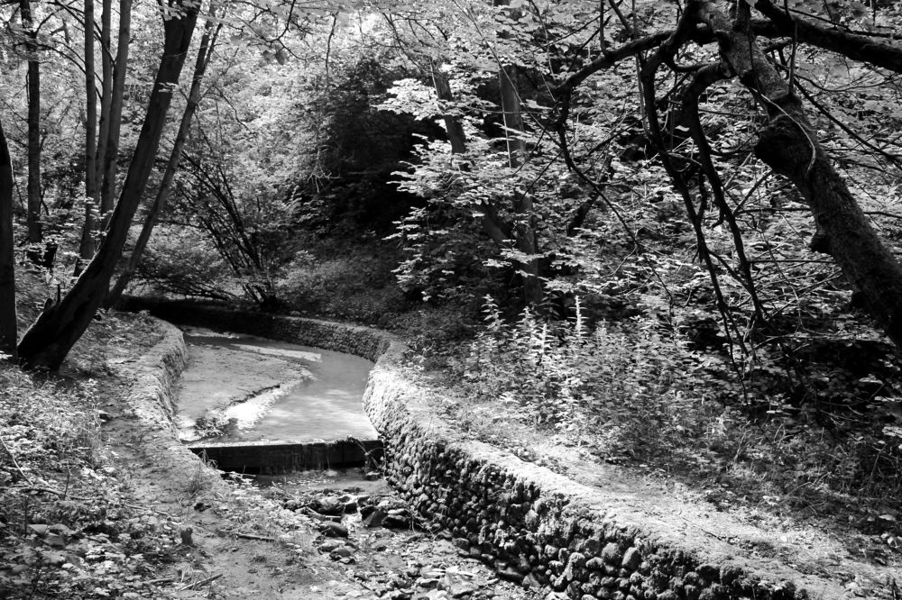 Photograph by Александр Кращук