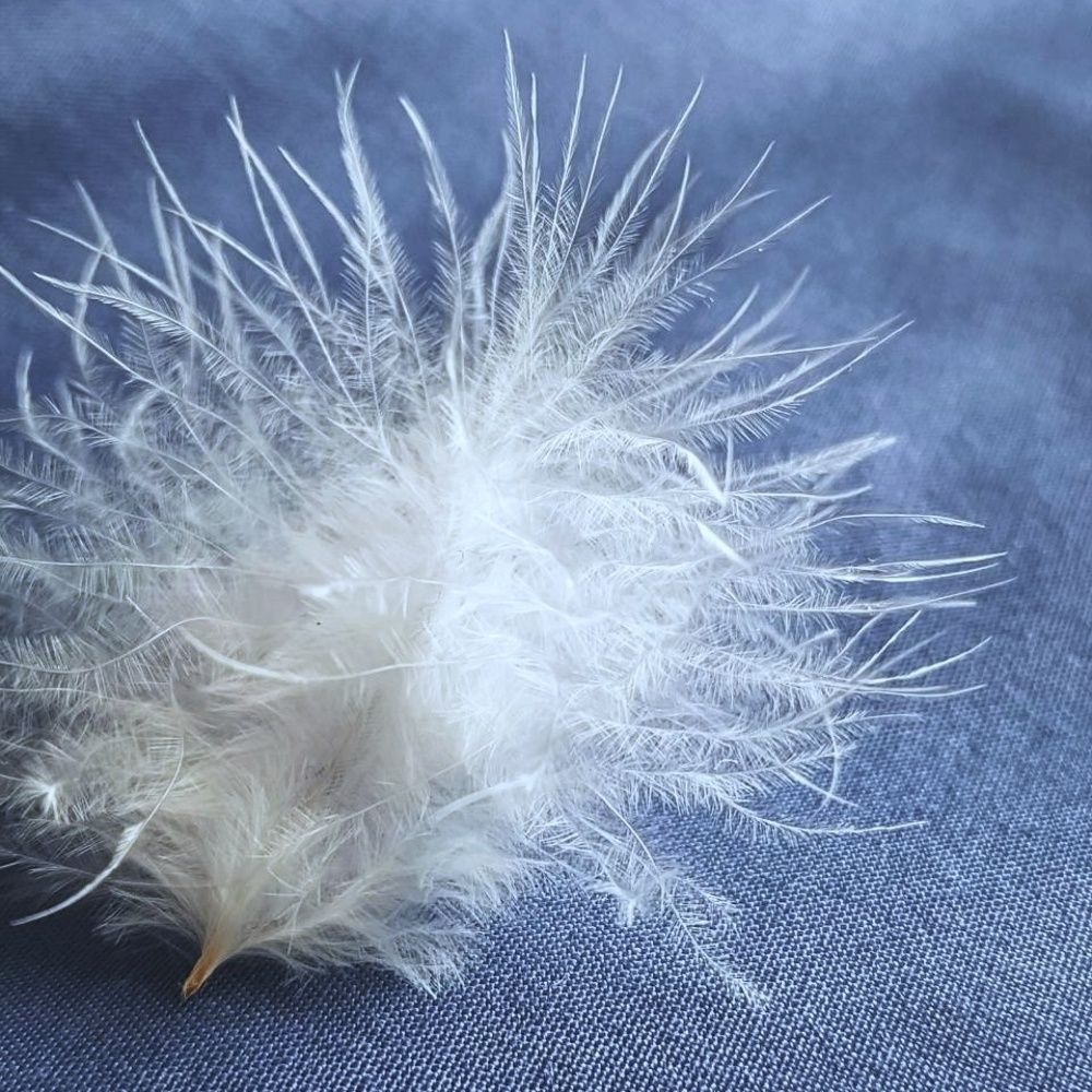 Нежное касание