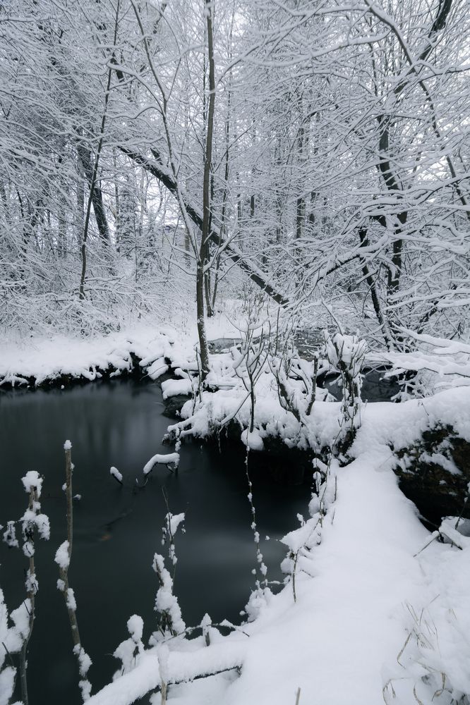 Photograph by Василий Ворона