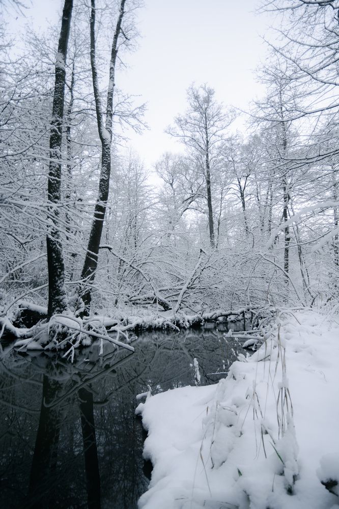 Photograph by Василий Ворона