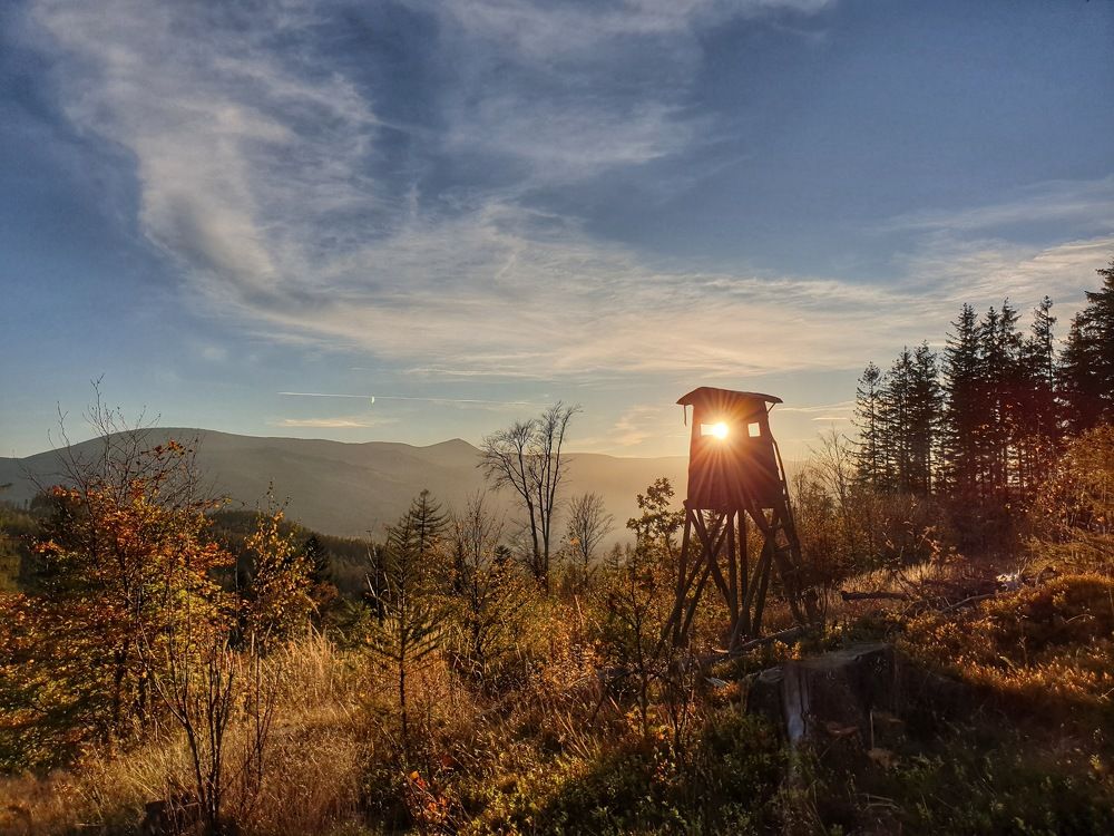 Photograph by wichrowaty