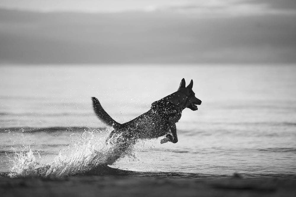 Photograph by Karina Saarestik