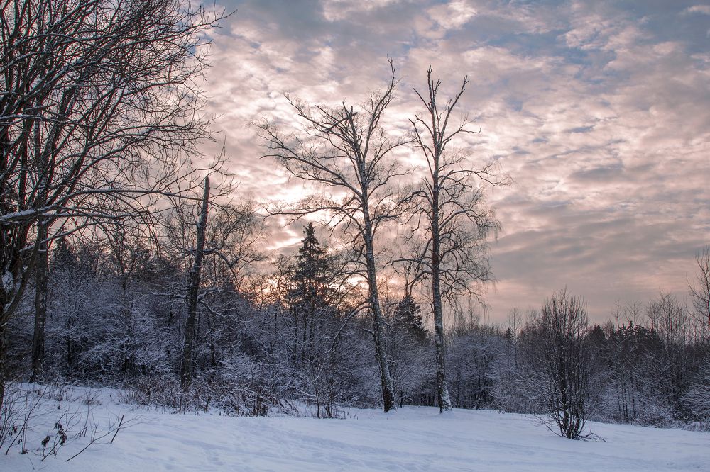 Photograph by Елена Гусева