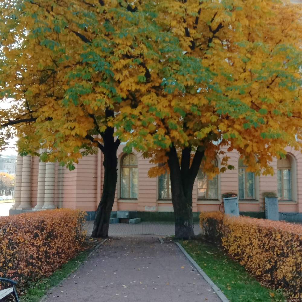 Photograph by Валерия
