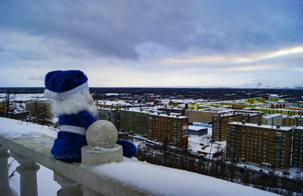 Талнахский Скржитек