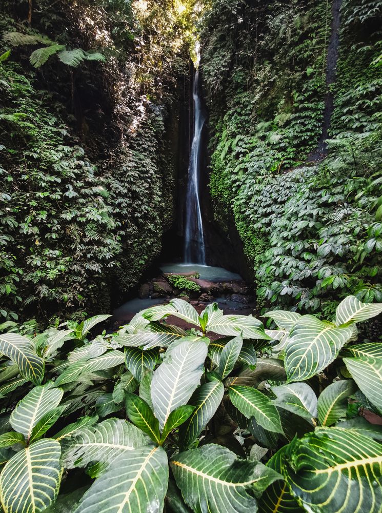 Photograph by Domagoj Sever