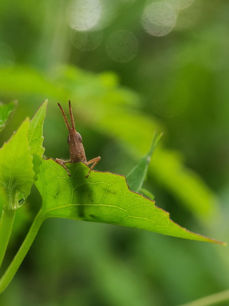 Photograph by Winda Octavianti Surjono