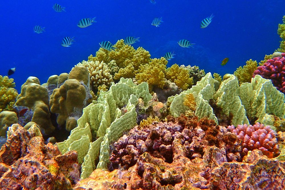 Photograph by Александр Баран