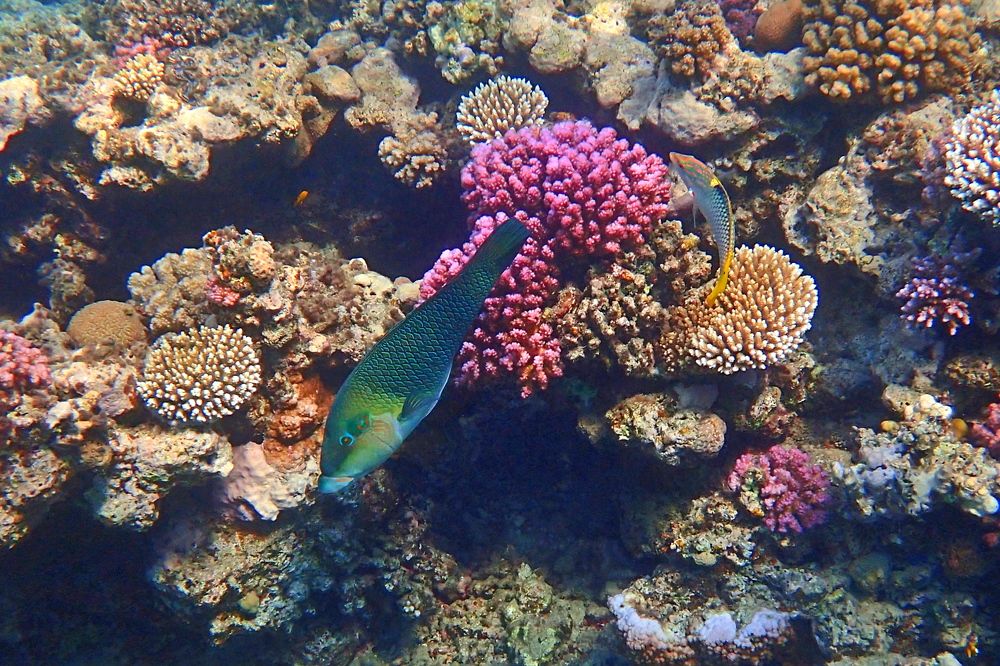 Photograph by Александр Баран