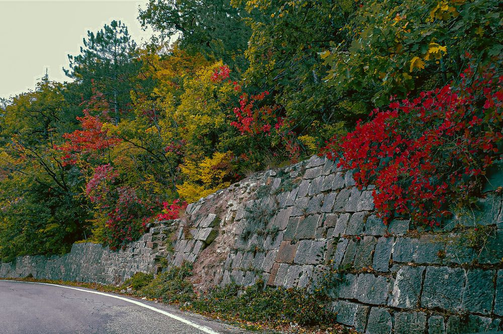 Пестрая осень в Крыму