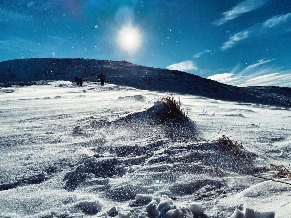 Photograph by wichrowaty