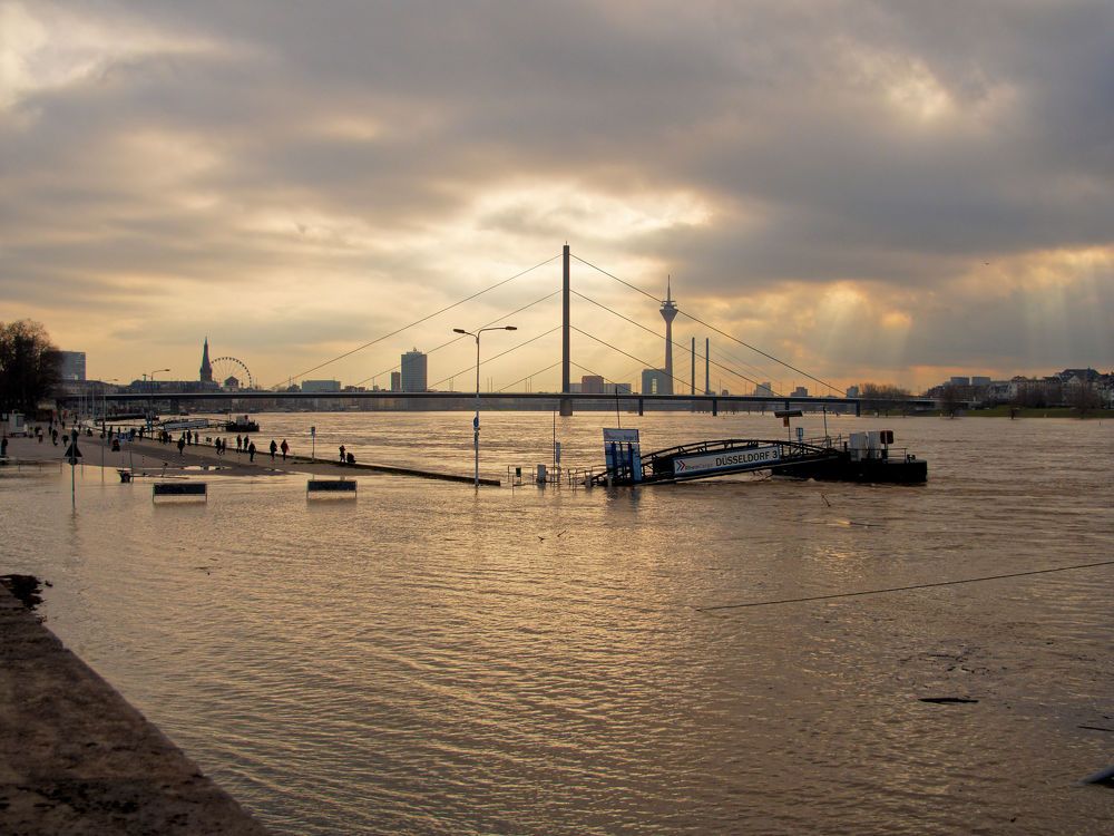 Разлив Рейна